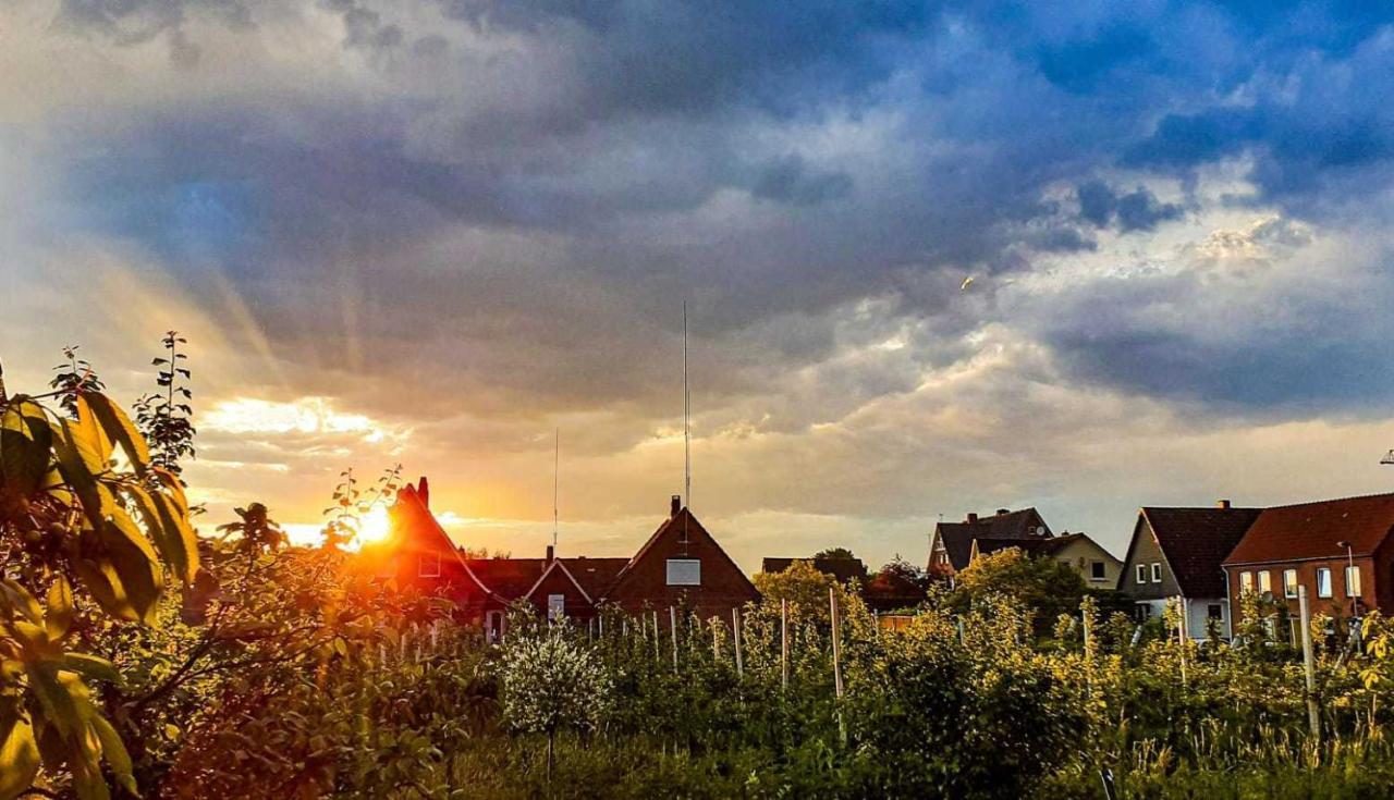 Ferienwohnung Bluetenblick Bachenbrock エクステリア 写真